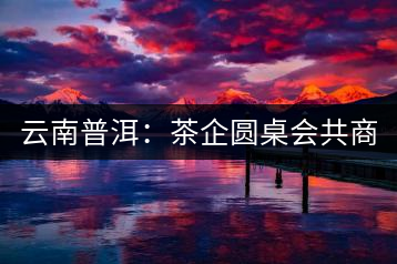 云南普洱：茶企圓桌會共商“現在·未來