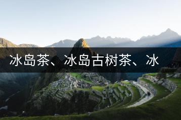 冰島茶、冰島古樹茶、冰島茶區茶、冰島茶區古樹茶