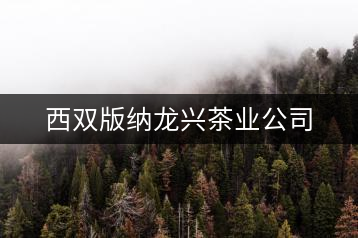 西雙版納龍興茶業公司