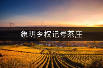 象明鄉權記號茶莊