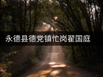 永德縣德黨鎮忙崗翟國庭茶