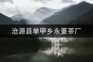 滄源縣單甲鄉永董茶廠