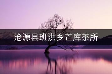 滄源縣班洪鄉芒庫茶所