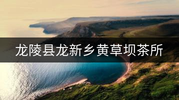 龍陵縣龍新鄉黃草壩茶所