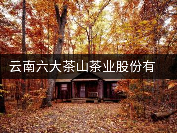 云南六大茶山茶業股份有限公司