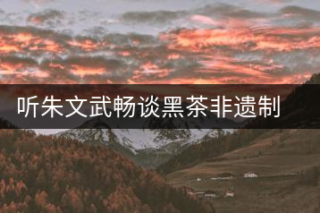 聽(tīng)朱文武暢談黑茶非遺制茶技藝的市場(chǎng)的開(kāi)拓之路