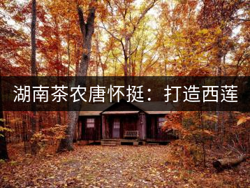 湖南茶農唐懷挺：打造西蓮茶葉品牌 做大茶葉產業規模