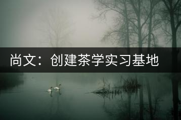 尚文：創建茶學實習基地努力推廣茶文化