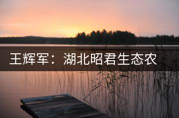 王輝軍：湖北昭君生態農業有限公司董事長