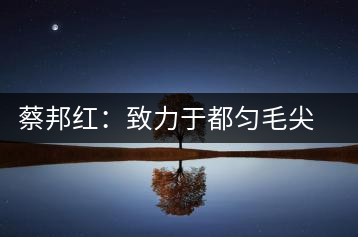 蔡邦紅:致力于都勻毛尖的深加工