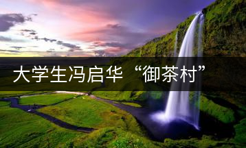 大學生馮啟華“御茶村”茶園放飛創業夢想