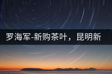羅海軍-新購茶葉,昆明新購商貿有限公司總經理