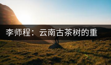 李師程:云南古茶樹的重要性與文化價值