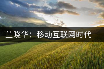 蘭曉華:移動互聯(lián)網(wǎng)時代的小微企業(yè)創(chuàng)新活力