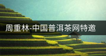 周重林-中國普洱茶網特邀行業專家顧問