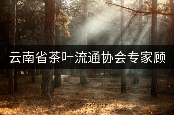 云南省茶葉流通協會專家顧問委員會名單（共63名）