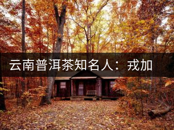 云南普洱茶知名人:戎加升