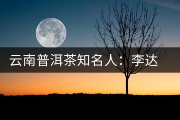 云南普洱茶知名人:李達朝