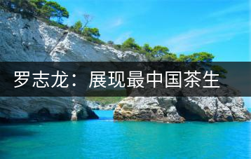 羅志龍：展現最中國茶生活