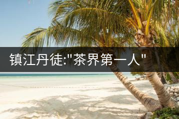 鎮江丹徒:”茶界第一人”成為計生領富幫富帶頭人