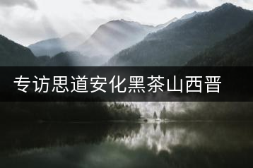 專訪思道安化黑茶山西晉中運營中心總經理董欽智