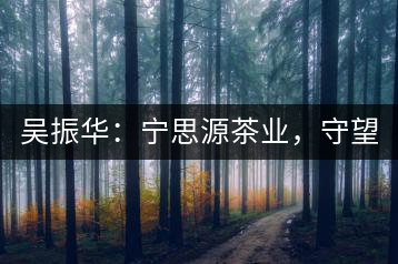 吳振華：寧思源茶業，守望家鄉 做好“金獎茶王”