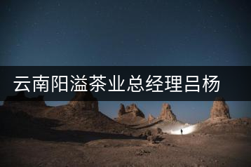 云南陽溢茶業總經理呂楊陽訪談