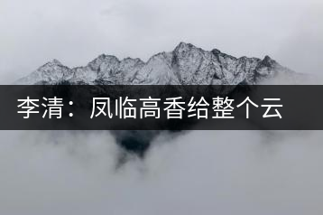 李清：鳳臨高香給整個云茶產業做廣告