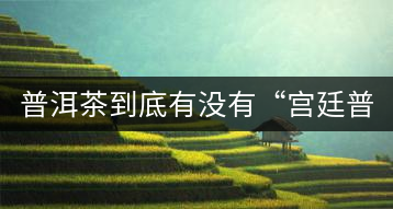 普洱茶到底有沒有“宮廷普洱”一說？它到底是什么？