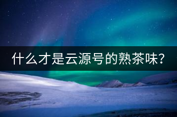 什么才是云源號的熟茶味？