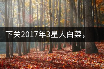 下關(guān)2017年3星大白菜,好茶從未中斷