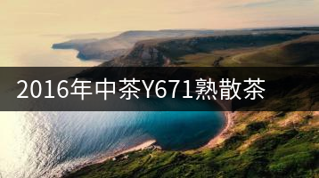 2016年中茶Y671熟散茶專(zhuān)業(yè)品評(píng)