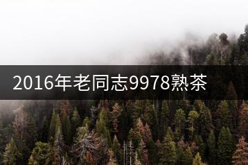 2016年老同志9978熟茶專業品評