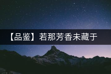 【品鑒】若那芳香未藏于樟野，怎會這般獨具韻味？