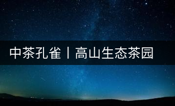 中茶孔雀丨高山生態茶園的仙境氣息