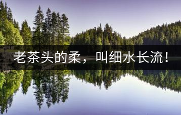 老茶頭的柔，叫細(xì)水長流！