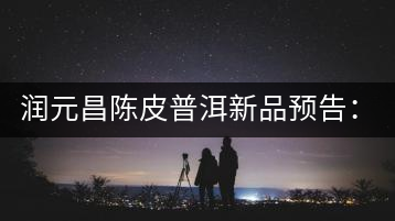 潤元昌陳皮普洱新品預告：【金絲單泡裝】&【醇真】