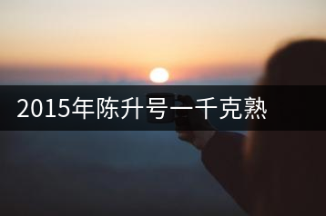 2015年陳升號一千克熟茶磚經典大樹新品上市