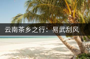 云南茶鄉之行:易武刮風寨