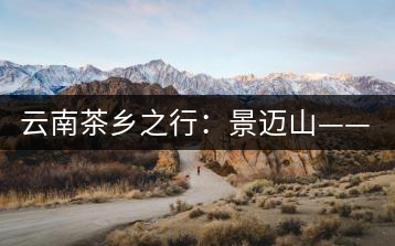 云南茶鄉之行:景邁山——螃蟹腳