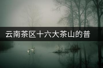 云南茶區十六大茶山的普洱茶特色