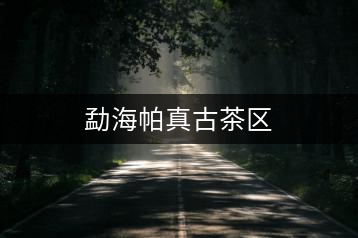 勐海帕真古茶區