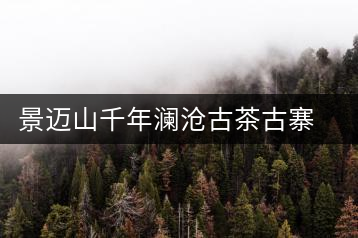景邁山千年瀾滄古茶古寨 散發醇厚余香