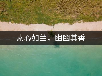 素心如蘭,幽幽其香