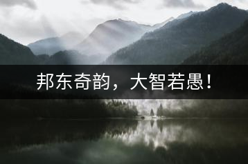邦東奇韻，大智若愚！