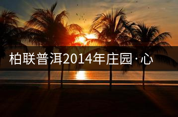 柏聯普洱2014年莊園·心境開湯