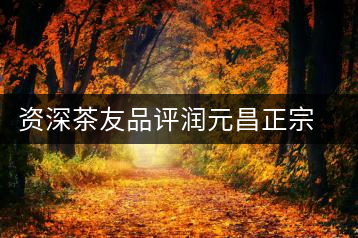 資深茶友品評(píng)潤元昌正宗地道柑普茶