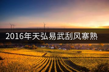 2016年天弘易武刮風寨熟茶一泡耐人尋味!