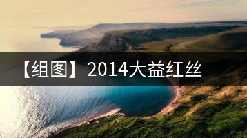 【組圖】2014大益紅絲帶開湯