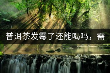 普洱茶發霉了還能喝嗎，需要怎么處理？